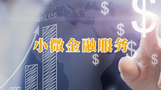 賽伯樂小微金融服務(wù)