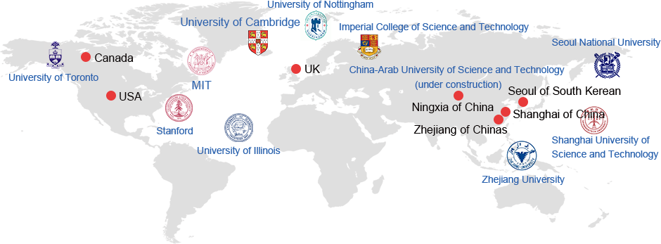 Cybernaut’s internationalization